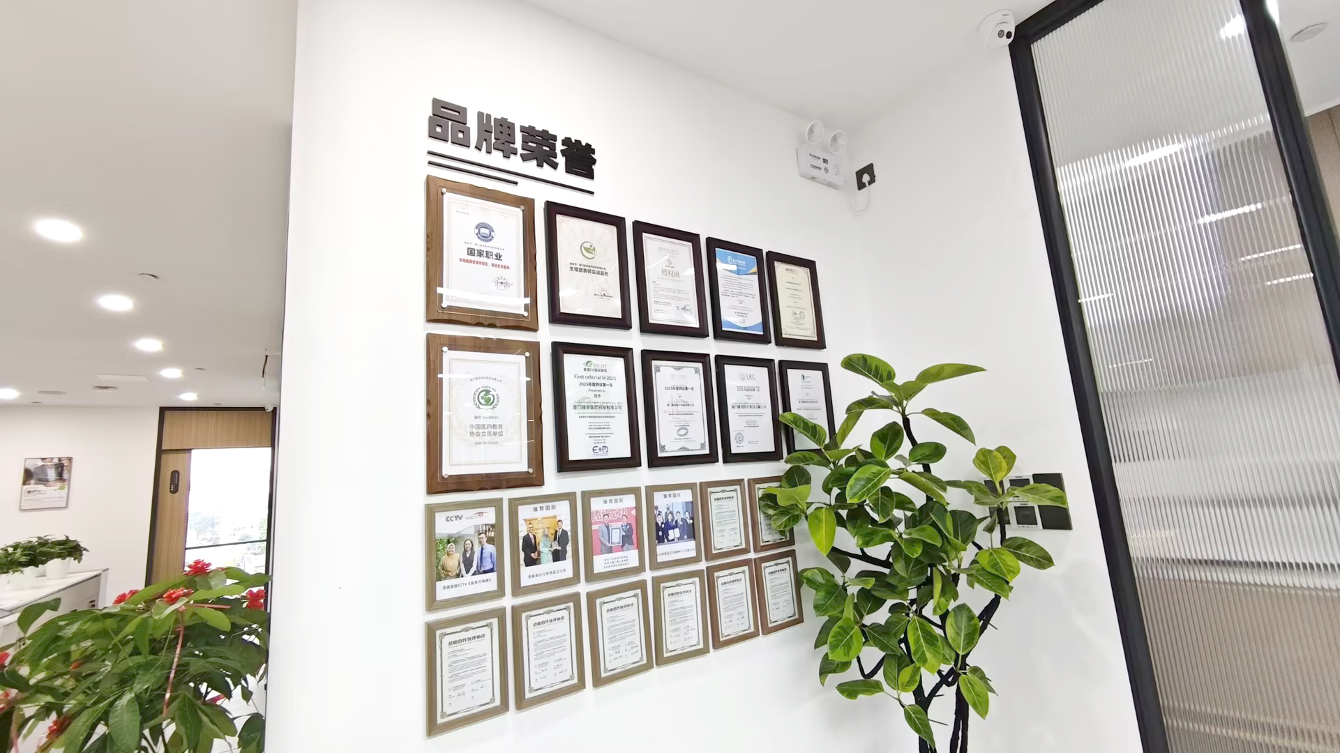 臻育国际